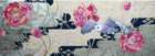 photo9_small.jpg