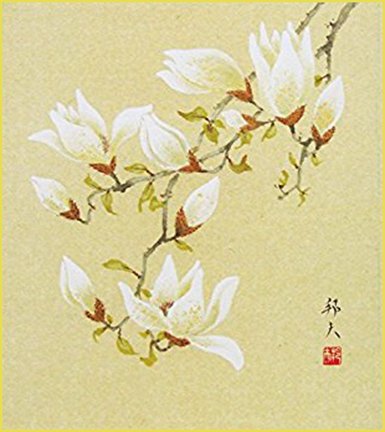 photo10.jpg