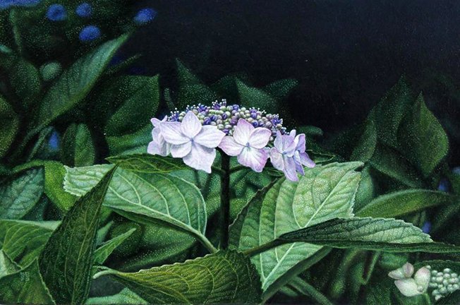 photo12.jpg