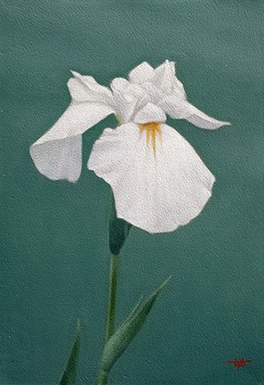 photo23.jpg