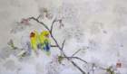 photo12_small.jpg