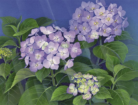 photo6.jpg