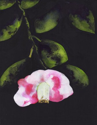 photo33.jpg