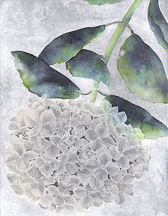 photo45.jpg