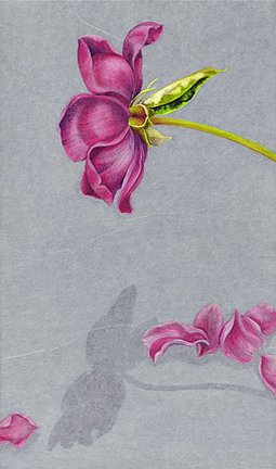 photo56.jpg