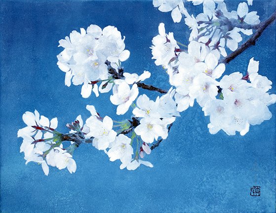 photo13.jpg