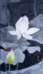 photo9_small.jpg
