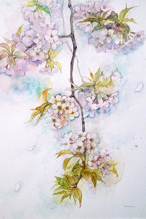 photo17.jpg