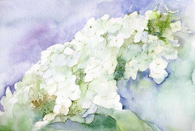 photo40.jpg