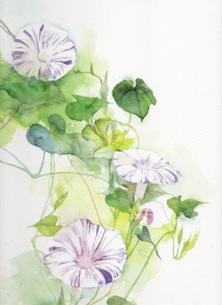 photo46.jpg