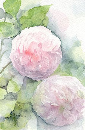 photo64.jpg