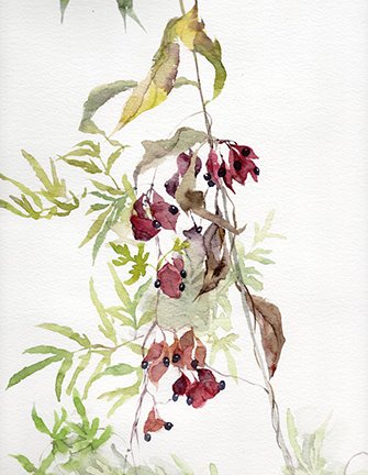 photo83.jpg