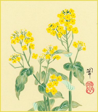 photo21.jpg