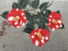 photo2_small.jpg