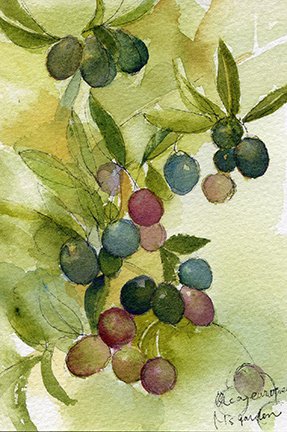 photo215.jpg