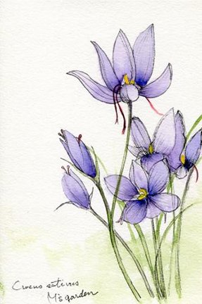 photo271.jpg