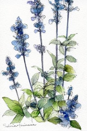 photo273.jpg