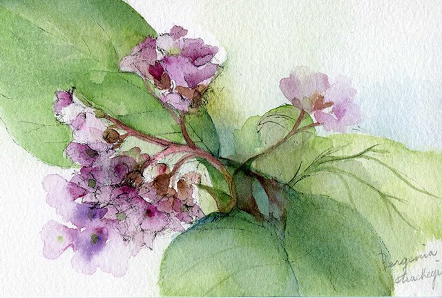 photo28.jpg