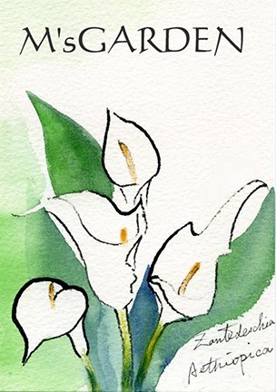 photo36.jpg