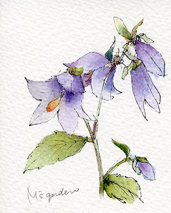 photo42.jpg