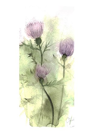 photo64.jpg