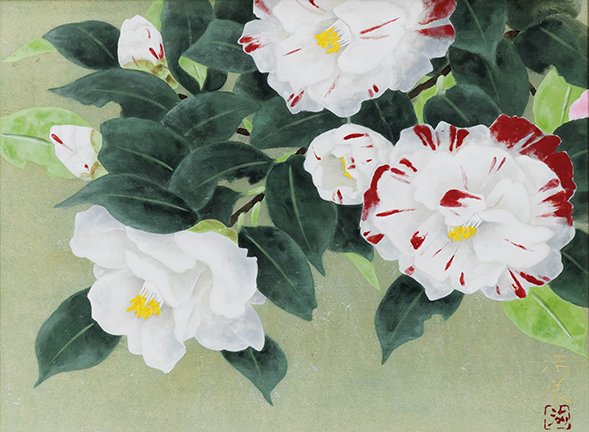 photo14.jpg