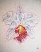 photo46_small.jpg