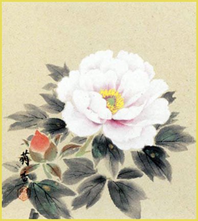 photo.jpg
