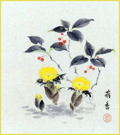 photo11.jpg
