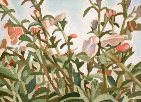 photo14.jpg