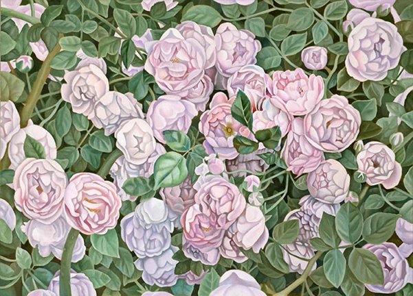 photo24.jpg