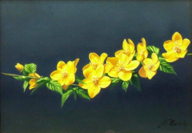 photo13.jpg