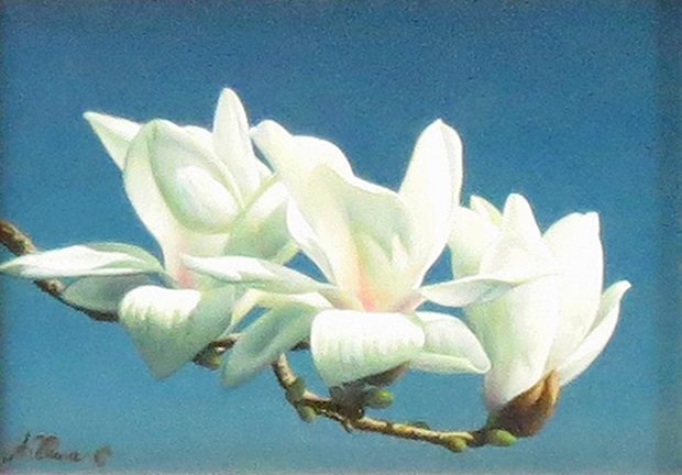 photo16.jpg
