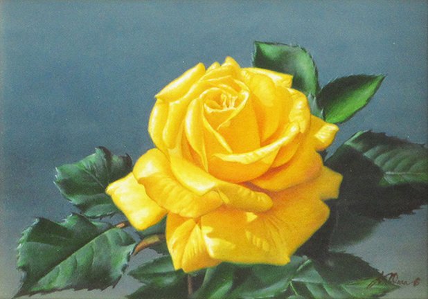 photo23.jpg
