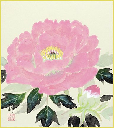 photo9.jpg