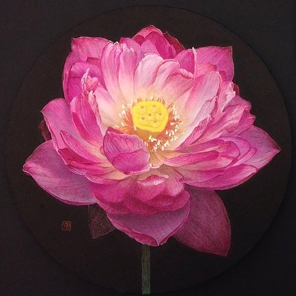 photo7.jpg