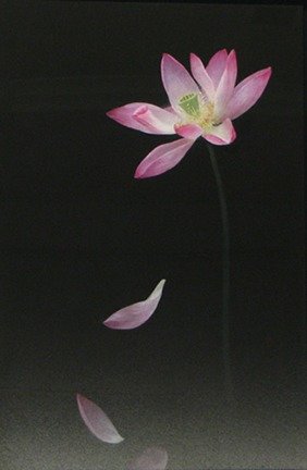 photo9.jpg