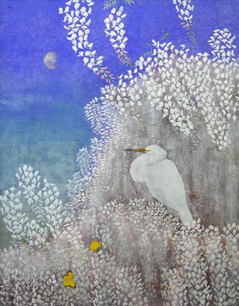 photo49.jpg