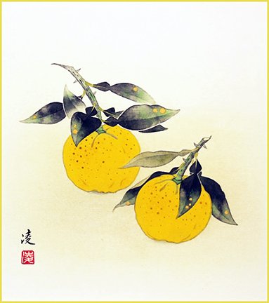 photo8.jpg