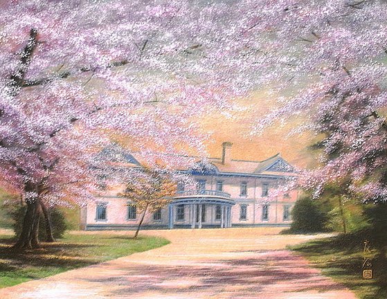 photo25.jpg