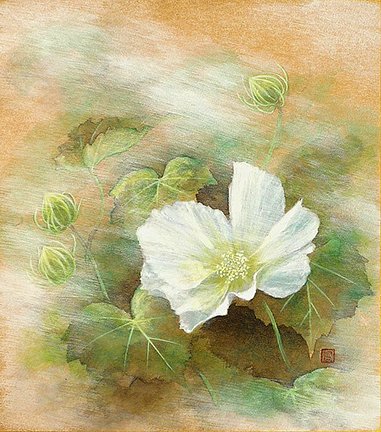 photo81.jpg