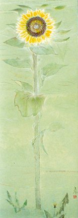 photo33.jpg