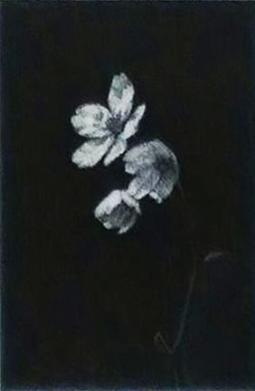 photo6.jpg