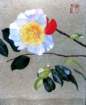 photo10_small.jpg