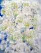 photo7_small.jpg