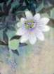 photo22_small.jpg