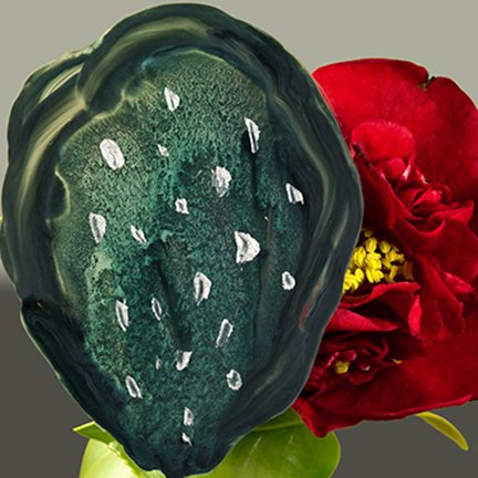 photo15.jpg