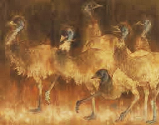 photo21.jpg