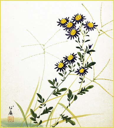 photo8.jpg