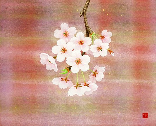 photo8.jpg